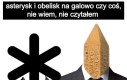 Chyba to oni