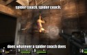 Spider Coach