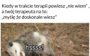 No dobra, może i wiem