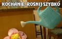 Kochanie, rośnij szybko