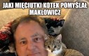 Szykują się do snu