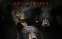 Dokument o polarnych niedźwiedziach w wykonaniu Netflixa