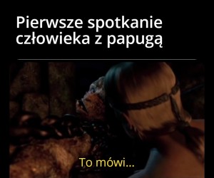 Z perspektywy papugi