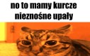 No to mamy problem