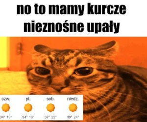 No to mamy problem