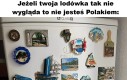 Fakty