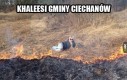 Matka wszystkich Januszy
