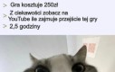 Wy jesteście niepoważni