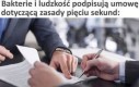 Tak było