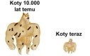 Przeszły długą drogę