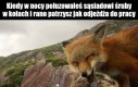 Do później sąsiedzie hehe