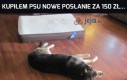 Wiedziałem, że je polubi!