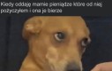 Wiedziałem że mnie nie kochasz