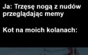 Zaprzestań