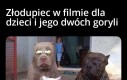 MACIE ICH ZNALEŹĆ I PRZYPROWADZIĆ DO MNIE!
