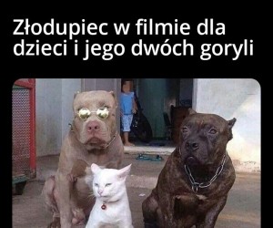 MACIE ICH ZNALEŹĆ I PRZYPROWADZIĆ DO MNIE!