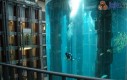 Nurkowanie w mega akwarium