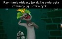 A potem i życie stracił