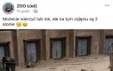 Trzecią godzinę patrzę i nadal go nie widzę