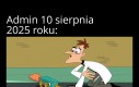 Strzałeczki papa