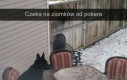 No gdzie oni są...