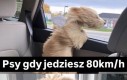 Ale się nie denerwuj
