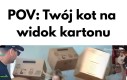 Największa radość