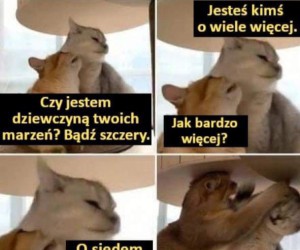 Za każdym razem