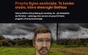 Koniec ukochanego drewna