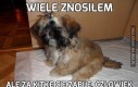 Wiele znosiłem