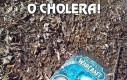 O cholera!