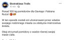 Warto było się starać