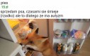 Autystyczny piesek