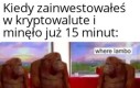 Gdzie moja willa?