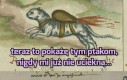 Ptaki też mają turbo