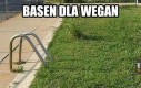 Weganie go uwiebiają