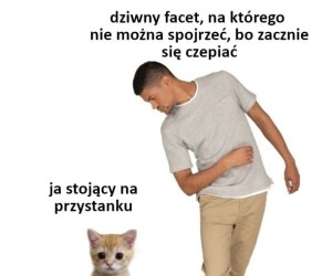 Ja chcę tylko dojechać do domu