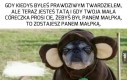 Przegrać życie tak bardzo...