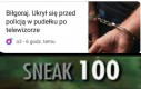 Mistrz kamuflażu
