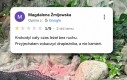 Nie polecam tego krokodyla