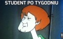 Student po tygodniu