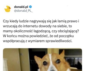 W sumie współpracują