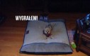 Od dziś śpisz na podłodze