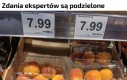 Zdania ekspertów są podzielone