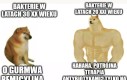 Bakterie