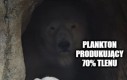 Sprawiedliwość dla planktonu!