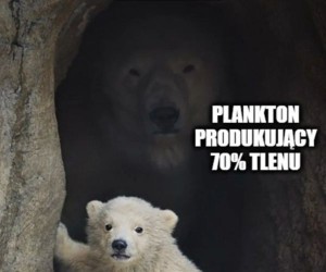 Sprawiedliwość dla planktonu!