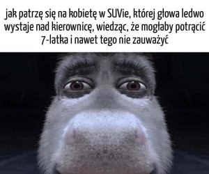 Pewnie męża