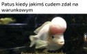 Einstein