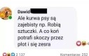 Antykońska propaganda
